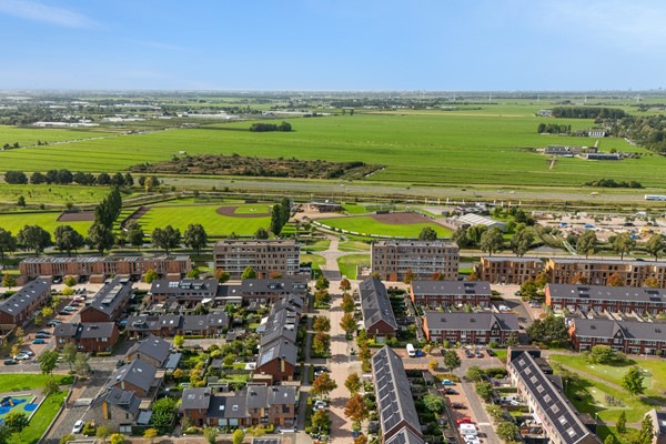 Lisdodde 151-1.jpg